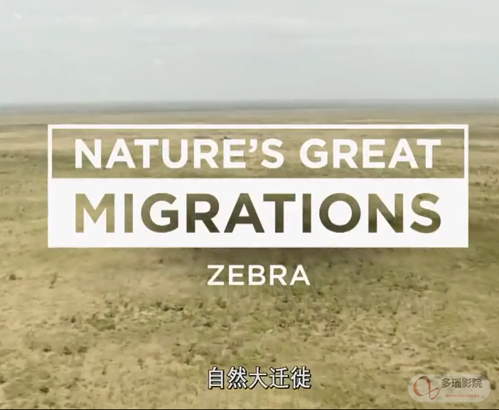 自然大迁徙(全集)